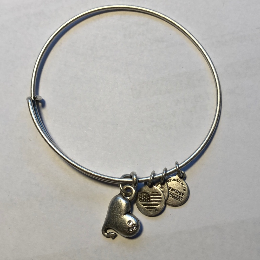 Alex and Ani heart bracelet. Silver tone.